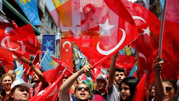 الانتخابات التركية - سبوتنيك عربي