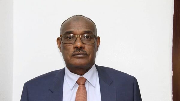 وزير خارجية السودان الدرديري محمد - سبوتنيك عربي