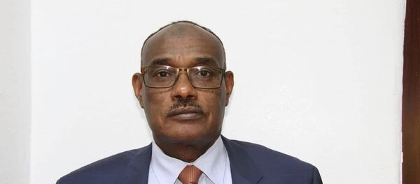 وزير خارجية السودان الدرديري محمد وزير خارجية السودان الدرديري محمد - سبوتنيك عربي