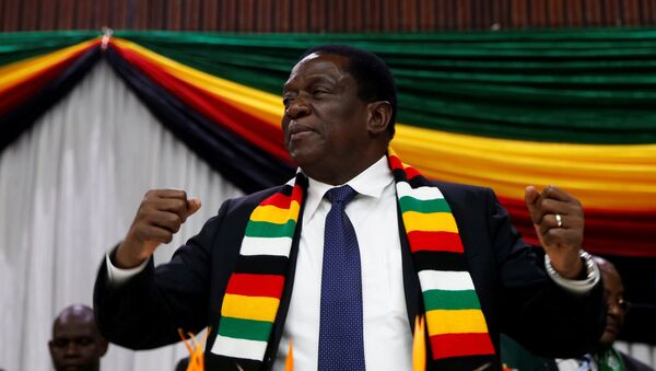 رئيس زيمبابوي - سبوتنيك عربي