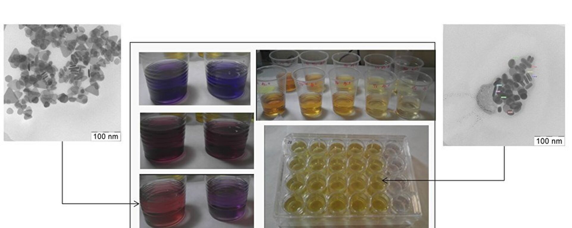العلماء الروس يثبتون سمية جسيمات الفضة النانوية - سبوتنيك عربي, 1920, 20.01.2025
