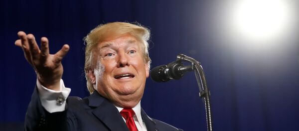 دونالد ترامب - سبوتنيك عربي