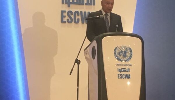 أحمد أبو الغيط - سبوتنيك عربي