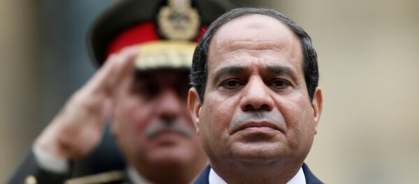 الرئيس المصري عبد الفتاح السيسي - سبوتنيك عربي