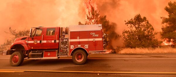 حرائق هائلة في كاليفورنيا، الولايات المتحدة 1 يوليو/ تموز 2018 - سبوتنيك عربي