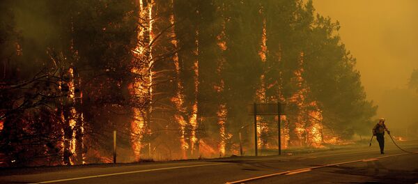 حرائق هائلة في كاليفورنيا، الولايات المتحدة 1 يوليو/ تموز 2018 - سبوتنيك عربي