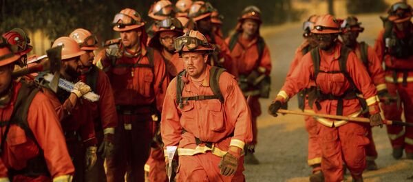 حرائق هائلة في كاليفورنيا، الولايات المتحدة 1 يوليو/ تموز 2018 - سبوتنيك عربي