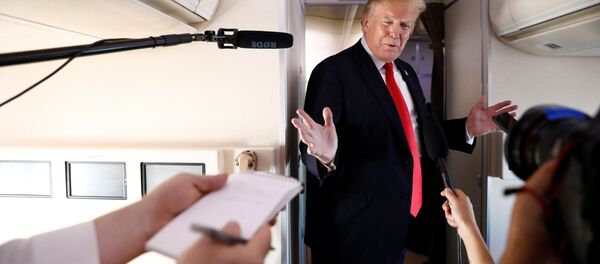 الرئيس الأمريكي دونالد ترامب - سبوتنيك عربي