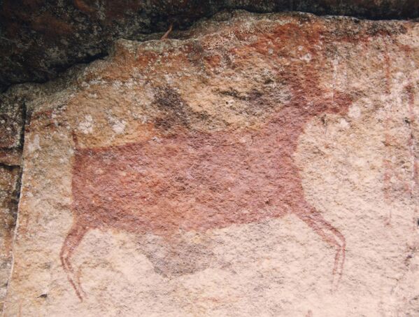 رسم جداري، في الحديقة الوطنية Parque Nacional Natural Chiribiquete في كولومبيا - سبوتنيك عربي