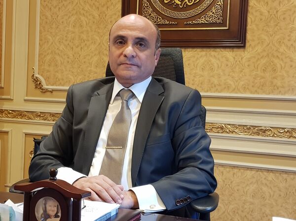 وزير الشؤون البرلمانية، المستشار عمر مروان - سبوتنيك عربي