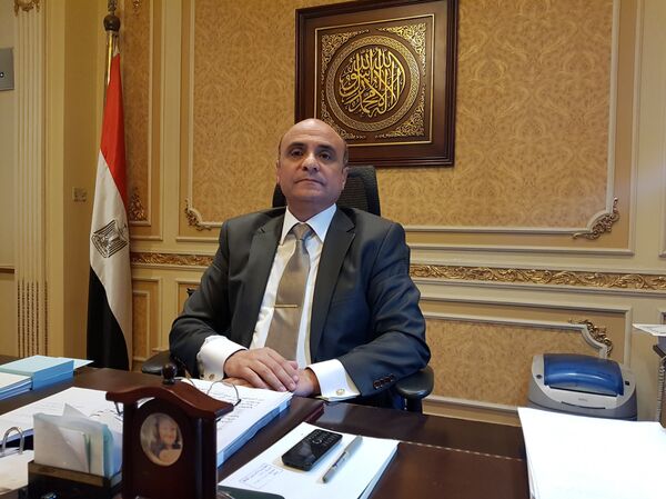 وزير الشؤون البرلمانية، المستشار عمر مروان - سبوتنيك عربي