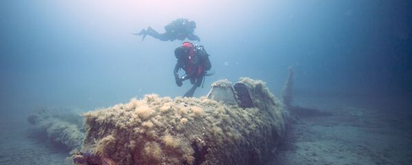 غواص - سبوتنيك عربي
