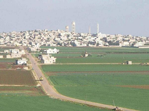 ريف حماة بسوريا - سبوتنيك عربي