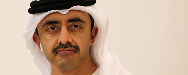 عبد الله بن زايد - سبوتنيك عربي