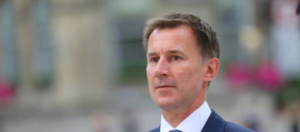 وزير خارجية بريطانيا، جيريمي هانت - سبوتنيك عربي