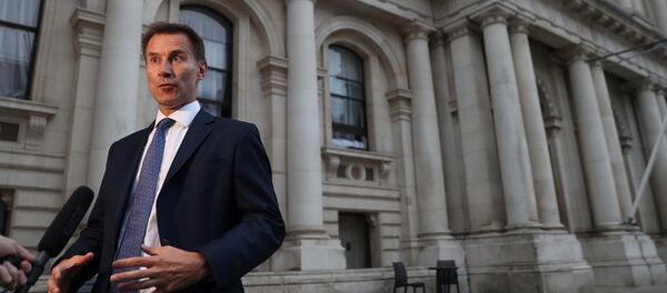 جيرمي هانت - سبوتنيك عربي