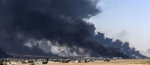 الموصل - يوليو، 2016، العراق الموصل - يوليو، 2016، العراق - سبوتنيك عربي
