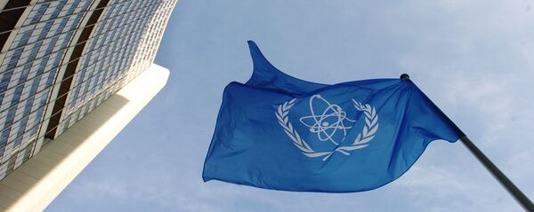 الوكالة الدولية للطاقة الذرية في فينا - سبوتنيك عربي