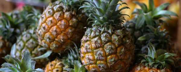 فاكهة الأناناس - سبوتنيك عربي