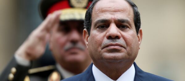الرئيس المصري عبد الفتاح السيسي - سبوتنيك عربي