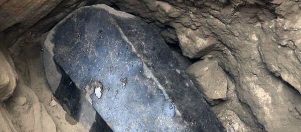 تابوت المومياء في الإسكندرية، شمال مصر 19 يوليو/ تموز 2018 - سبوتنيك عربي