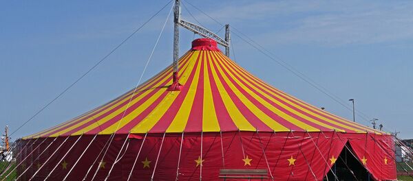 سيرك - سبوتنيك عربي