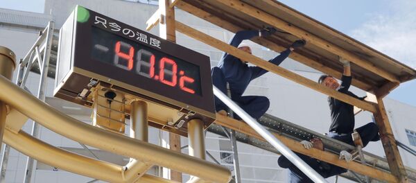 ارتفاع غير مسبق لدرجات الحرارة في طوكيو، اليابان 23 يوليو/ تموز 2018 - سبوتنيك عربي