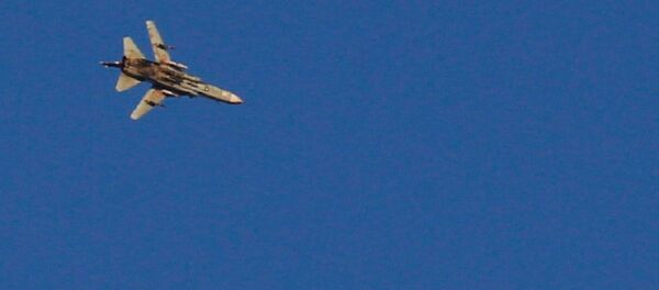 طائرة حربية سورية - سبوتنيك عربي