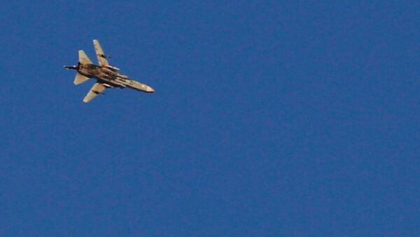 طائرة حربية سورية - سبوتنيك عربي