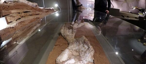 اكتشاف أحفوري يغير النظرة حول الديناصورات العملاقة - سبوتنيك عربي