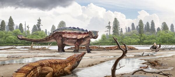 ديناصور عملاق - سبوتنيك عربي