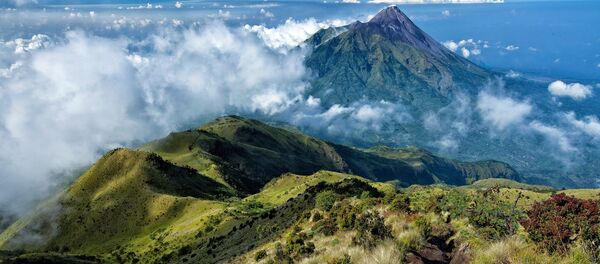 جزيرة جافا - سبوتنيك عربي