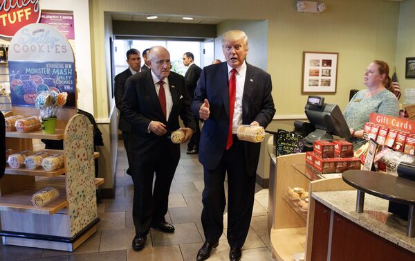 الرئيس الأمريكي دونالد ترامب - سبوتنيك عربي