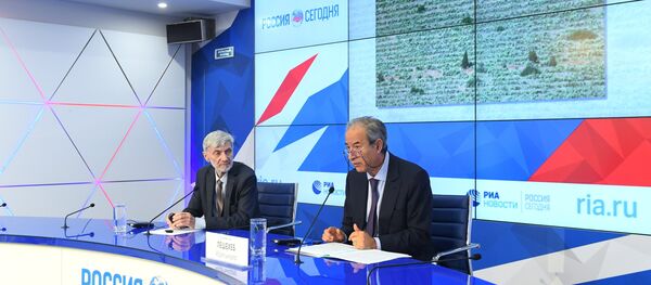 السفير المغربي لدى روسيا، عبد القادر السفير المغربي لدى روسيا، عبد القادر - سبوتنيك عربي