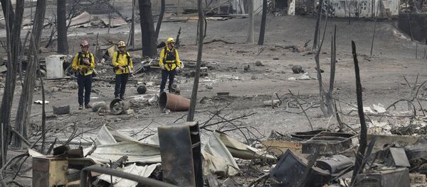 حريق بالقرب من ريدينغ، كاليفورنيا 28 يوليو/ تموز 2018 - سبوتنيك عربي