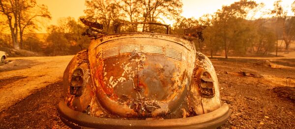 حريق بالقرب من ريدينغ، كاليفورنيا 28 يوليو/ تموز 2018 - سبوتنيك عربي