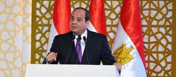 الرئيس المصري عبد الفتاح السيسي - سبوتنيك عربي