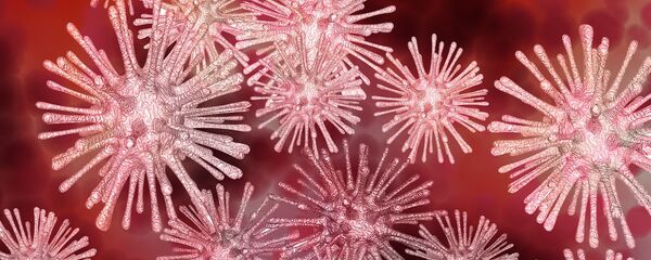 انفلونزا مميتة جديدة قد تقتل مليار شخص - سبوتنيك عربي