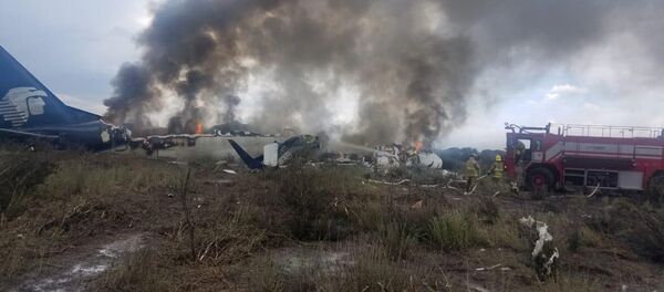 سقوط طائرة في المكسيك - سبوتنيك عربي