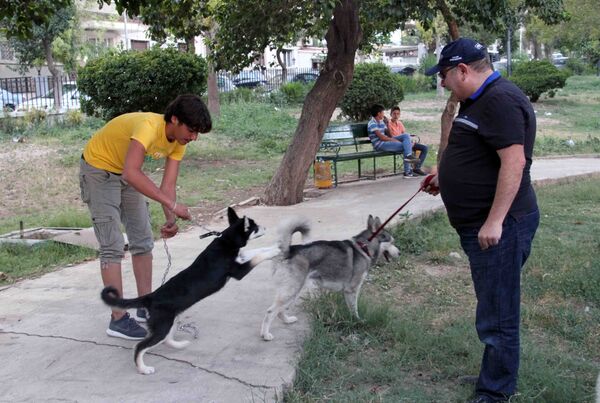 من الأرياف إلى حدائق دمشق… تربية الكلاب تنتشر في زمن الحرب - سبوتنيك عربي