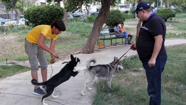 من الأرياف إلى حدائق دمشق… تربية الكلاب تنتشر في زمن الحرب - سبوتنيك عربي