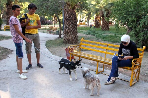 من الأرياف إلى حدائق دمشق… تربية الكلاب تنتشر في زمن الحرب - سبوتنيك عربي