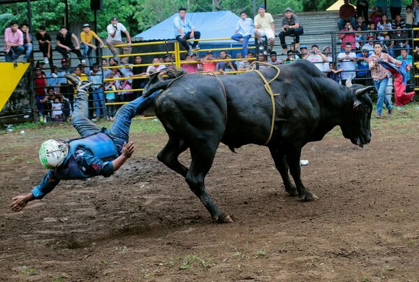 صراع الثيران بمناسبة القديس دومنيك في ماناغوا، نيكاراغوا 29 يوليو/ تموز 2018 - سبوتنيك عربي