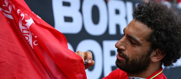 محمد صلاح محمد صلاح - سبوتنيك عربي