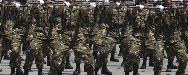 الجيش الجزائري - سبوتنيك عربي