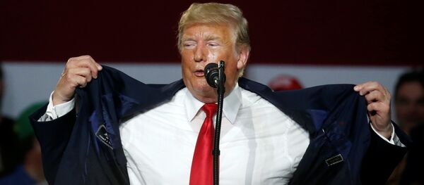 الرئيس الأمريكي دونالد ترامب - سبوتنيك عربي