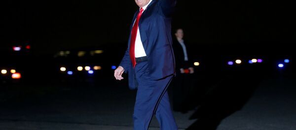 الرئيس الأمريكي دونالد ترامب - سبوتنيك عربي