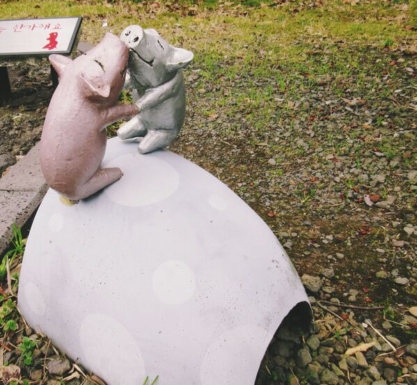 حديقة التماثيل الحجرية Love Land (بلاد الحب) في تحت السماء في جيجو، كوريا الجنوبية - سبوتنيك عربي