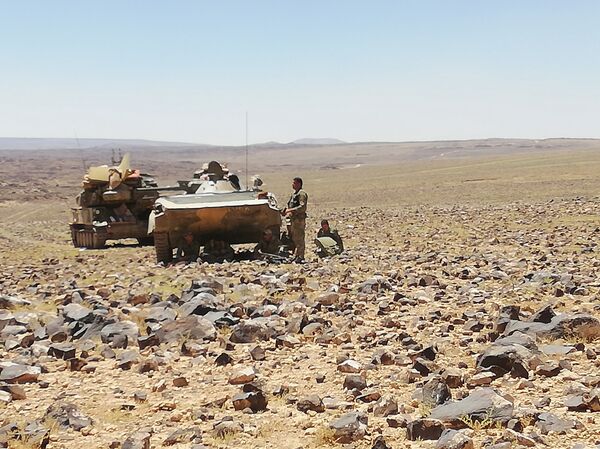 الجيش السوري في بادية السويداء - سبوتنيك عربي