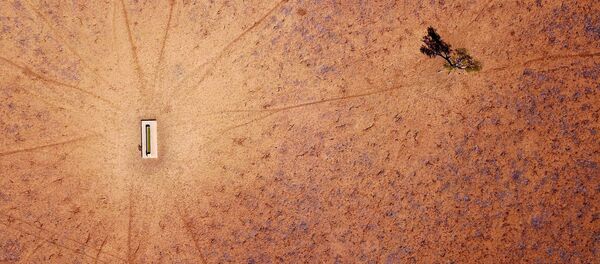 شجرة وحيدة تقف بالقرب من حوض مائي في مزرعة جيمي آند ماكاون التي جفت، وتقع على مشارف بلدة والجيت في منطقة نيو ساوث ويلز، أستراليا، 20 يوليو/ تموز 2018 - سبوتنيك عربي